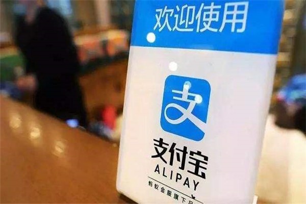 为什么支付宝生活号找不到自己的账号?